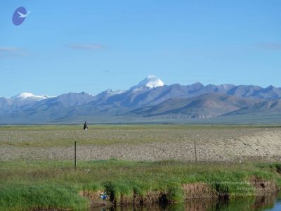 2011 glimpses kailashyatra 020348 CMP WM.jpg