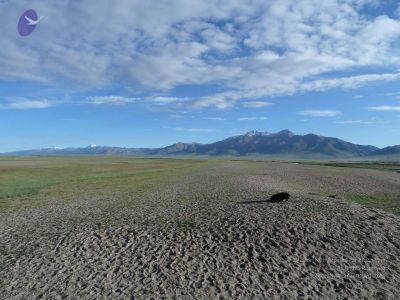 2011 glimpses kailashyatra 020354 CMP WM.jpg