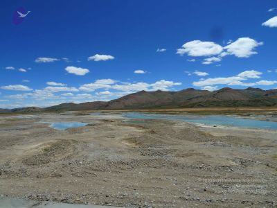 2011 glimpses kailashyatra 020486 CMP WM.jpg