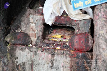 2011 glimpses kailashyatra 2501 CMP WM.jpg