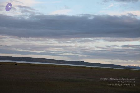 2011 glimpses kailashyatra 3232 CMP WM.jpg