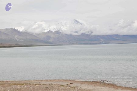2011 glimpses kailashyatra 3376 CMP WM.jpg