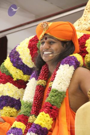 20120101 IMG 1260 CMP WM-2501.jpg