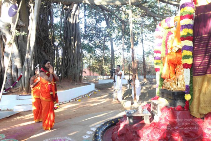 20120101 IMG 7763 CMP WM-4101.jpg