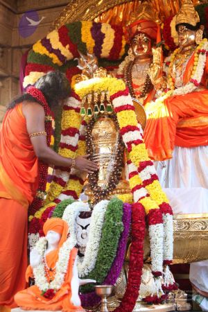 20120101 IMG 7807 CMP WM-8401.jpg