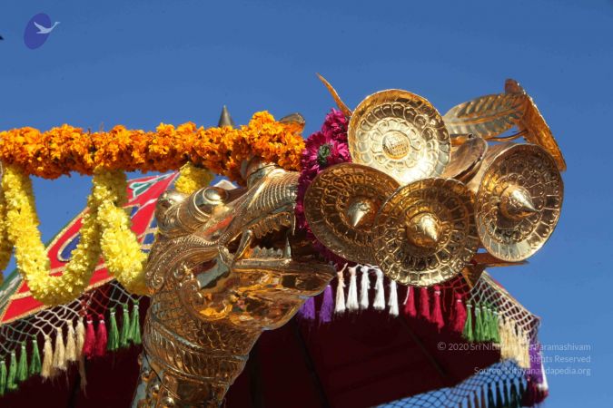 20120101 IMG 8231 CMP WM-29701.jpg