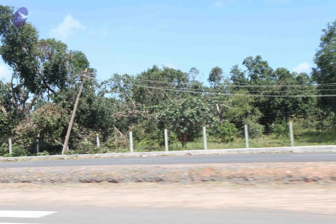 20120101 Photo 1056 1Y9N eNmO864UE1AvSlZFYlgpSCGZRl8p.JPG