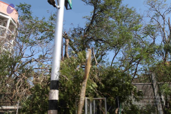 20120101 Photo 1059 1uvICxor8rpowQHlm0GXW9EWYDg N1F8F.JPG