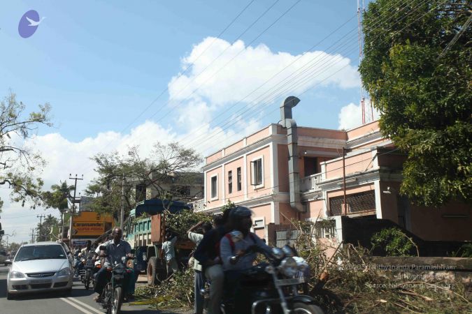 20120101 Photo 1067 1wVyuWwK621J5DvKZSM7d28Ru9hBpTtc7.JPG