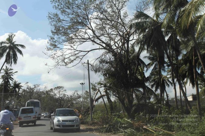 20120101 Photo 1080 1GrVpwMGjS rRx-5pBsOu-fmguPEmZxc7.JPG