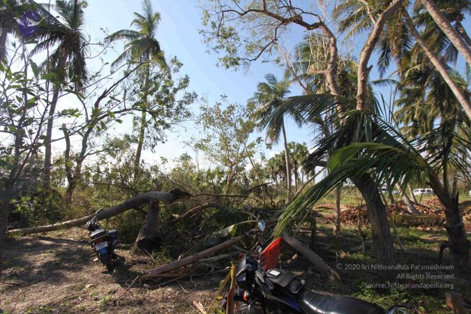 20120101 Photo 1243 1zFxIYQgtwKQlZdJWSk rQCAypE3p L72.JPG