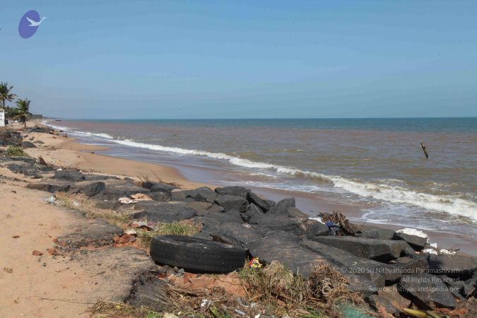 20120103 Photo 2205 15HgiEClXiJHUH2iLP8zgjtQYPvIXnQC7.JPG