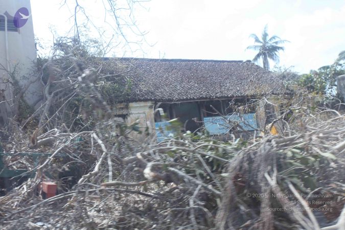 20120103 Photo 2354 1hiU1PHPzTT07YuDQl9fyNi71ubgwovOd.JPG