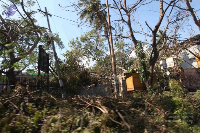 20120103 Photo 2395 1YU81r6lWCbhu8R4jdVeACmHSC6NebL6J.JPG