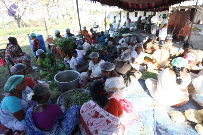 20120104 9803 CMP WM.jpg