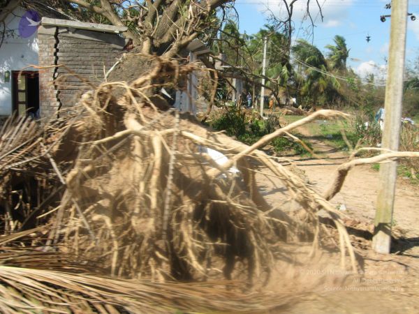 20120104 Photo 1007 1Ta8gEEL7vYonnZDfKIXv-aPPC5DvH3IR.JPG