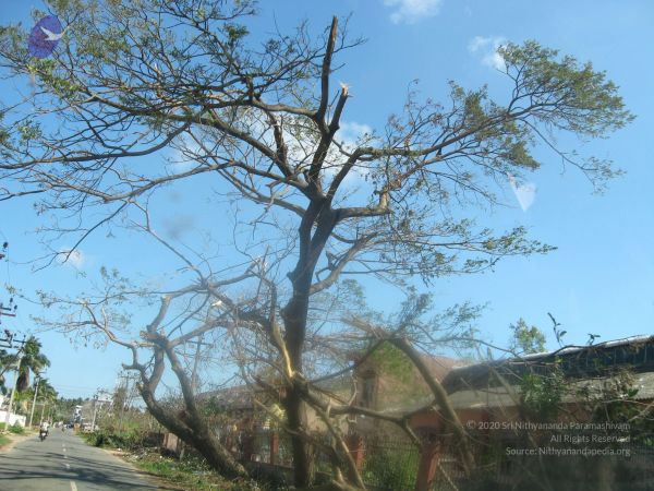 20120104 Photo 1011 1VS6-t3RPePxdUVuKcefGZxu4Sn rkNEw.JPG