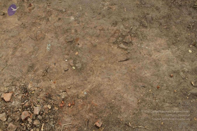 20120104 Photo 1012 1rWRZhlGb3c9LdkILhT87IYEUXqPqNmAN.JPG