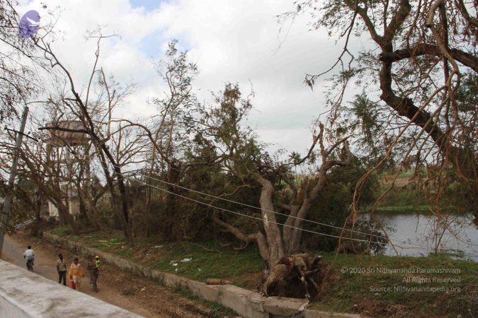 20120104 Photo 1013 1YGvoLjXGlRVWTBFJkXVYvyJ-qKcIwB2T.JPG