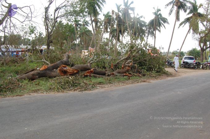 20120104 Photo 1036 1IPzycKtqY taPqMmZdqq3HIubua0rf-G.JPG