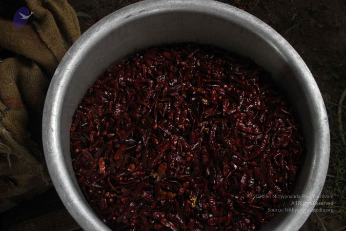 20120106 Photo 1024 1-ynmRwLaVS6uzyt9A0rnnQ5WLr-B4TTT.JPG