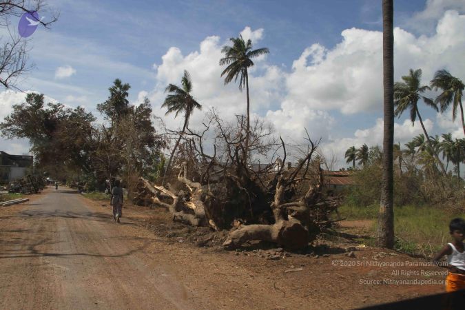 20120106 Photo 1204 12ySKJ1IYvnP3LXioFv0rVvi3OC4wAVlg.JPG