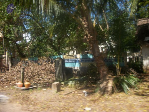 20120106 Photo 1498 1HmNT0Sgryb6pRv-qYd4UWT5mOZd1x-Fr.JPG