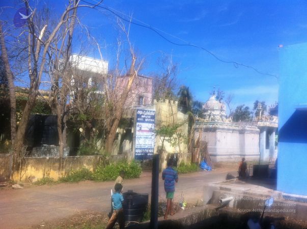 20120106 Photo 1892 1vm--WgRyUzGWTPKQFPNVqgU4LysNZThD.JPG