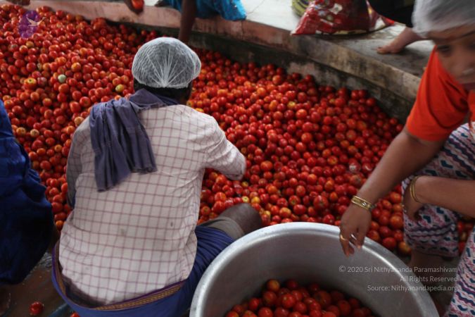 20120106 Photo 2295 1LUzPhuZPv8SuWovTyoQDK58VZZLkRr6l.JPG