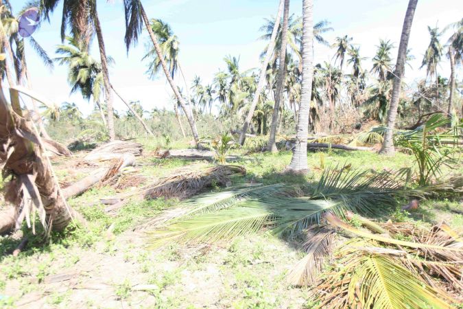 20120106 Photo 2621 1yhBJCKLYGEFprk-2Fo3b4CH4Npb Ub9p.JPG