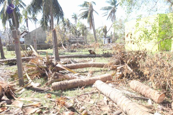 20120106 Photo 2660 14qLGGpkgAt7GqLeycSUAhwzj3NBtzdYA.JPG