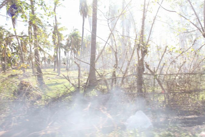 20120106 Photo 2670 1IMPY-BYhFSkJ sJ7WLwa2cLSKP1nY5aI.JPG