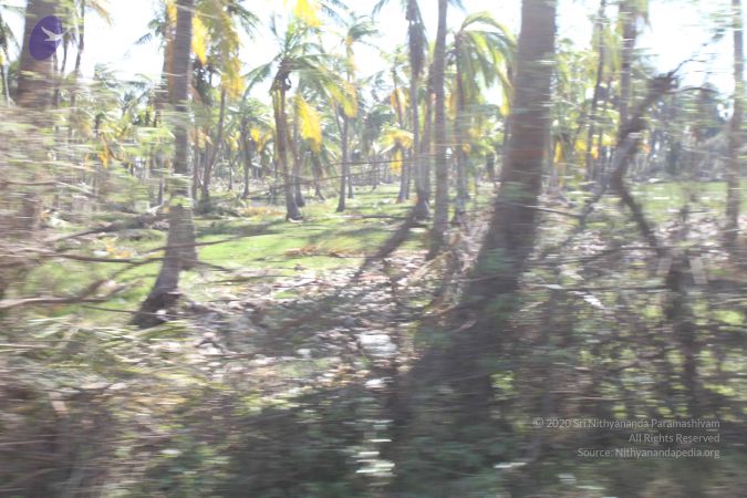 20120106 Photo 2673 18ysdaN7hlMo-1EfjEDPpzyjScgooeAXz.JPG