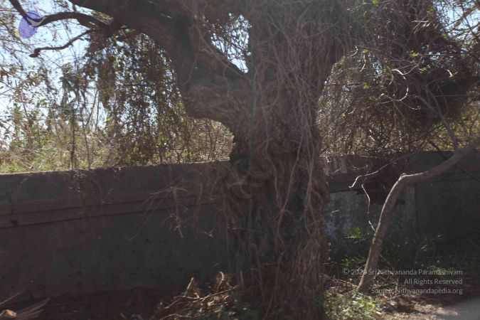 20120106 Photo 2682 1gU43zCfV-TIan-MoynlqvK00vzuB-1K8.JPG