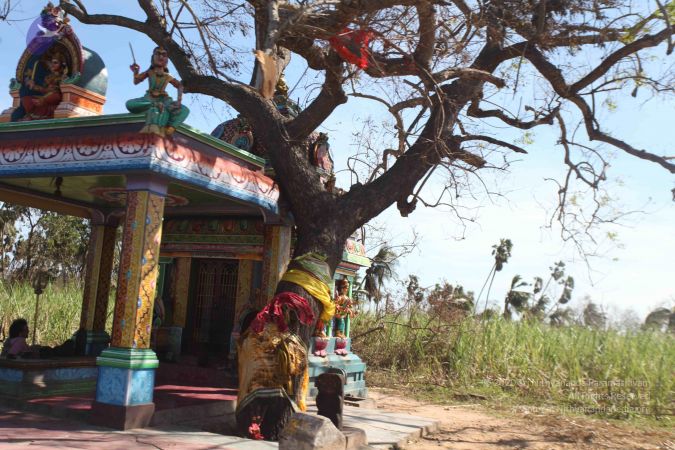 20120106 Photo 2712 1Q0SJVJ8pl1ULX6-T6yScjhkmnii579Dz.JPG