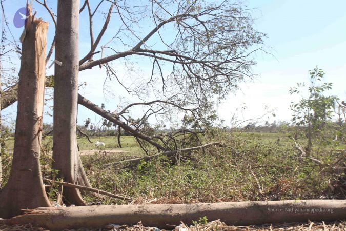 20120106 Photo 2728 1I2Z7gWXCthcPHgw9oKuCyVm12JsfYox3.JPG