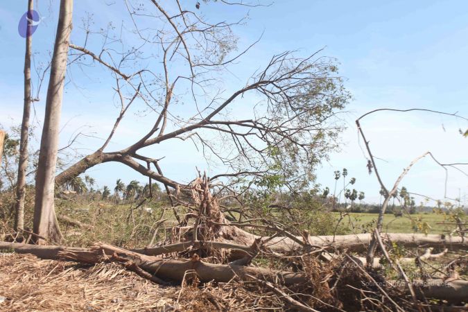 20120106 Photo 2729 1PTvsA0nQGE6FTgusqOUSTMJX8uaSjJZK.JPG