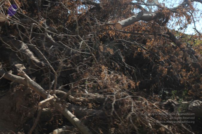 20120106 Photo 2739 1w1R7V5ZQWt9cC S1bH6IgdrWouMl32zL.JPG