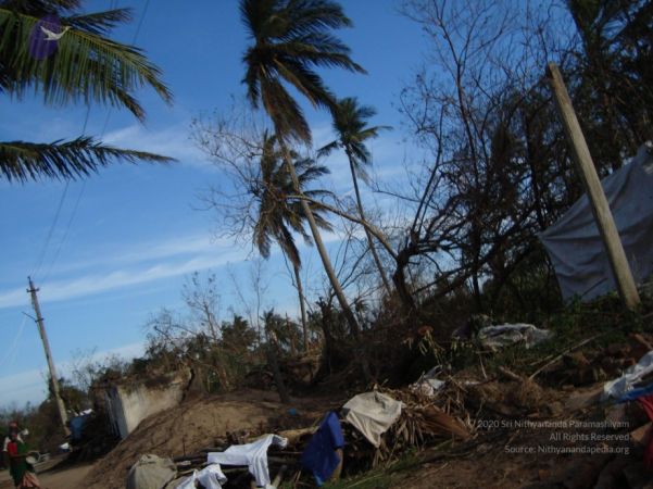 20120107 DSC02952 CMP WM-42001.jpg