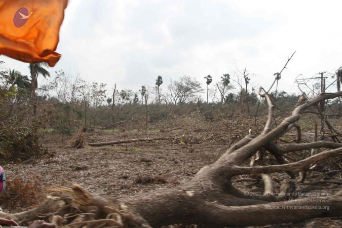 20120107 IMG 4035 CMP WM-4001.jpg