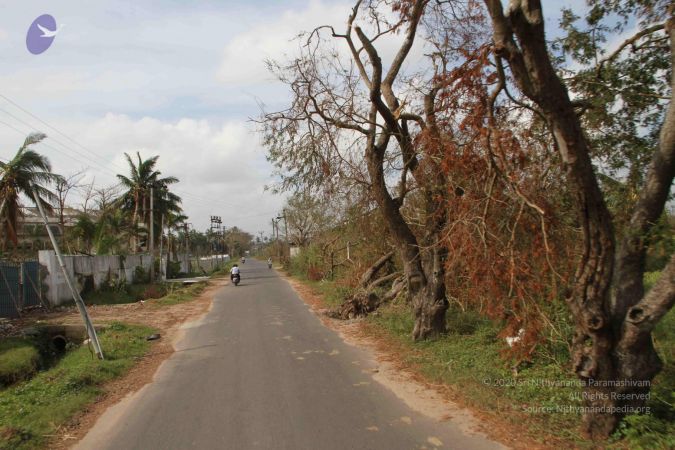 20120107 IMG 4050 CMP WM-5001.jpg