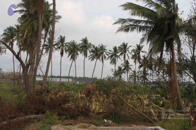 20120107 IMG 4075 CMP WM-7301.jpg