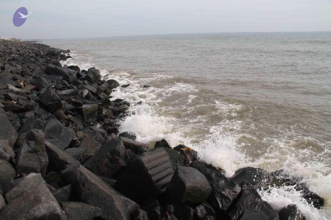 20120107 Photo 1039 1H M1DqB229l5sfGMTXyxVJODdR8 qX8W.JPG