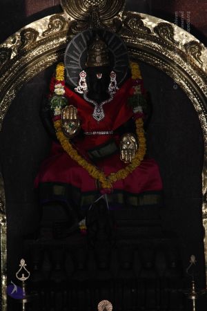 20120401 Photo 1037 1iJVKcHCUULOvgwAnn9XQCO5cetR3tPEr.JPG