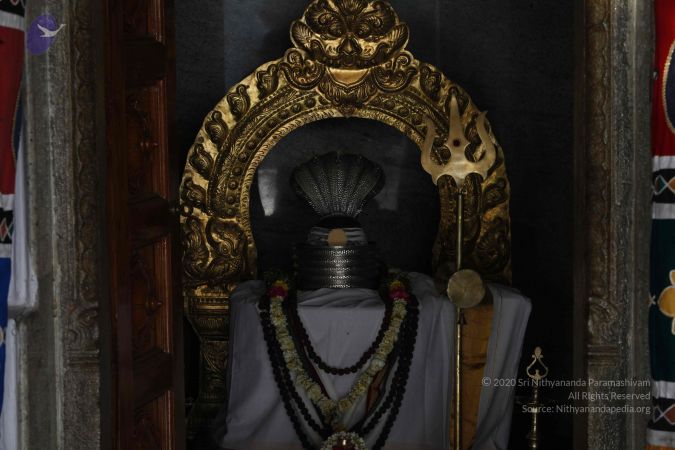 20120401 Photo 1039 1f6IWYf4LJd3ruiL s1fzeyO0tGAGchhN.JPG