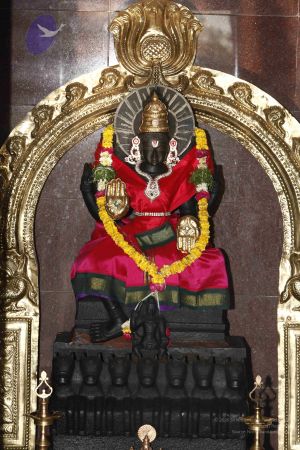 20120401 Photo 1043 1jJ1jcMkvrd42zIQFZ33sI--HVlznyrY .JPG