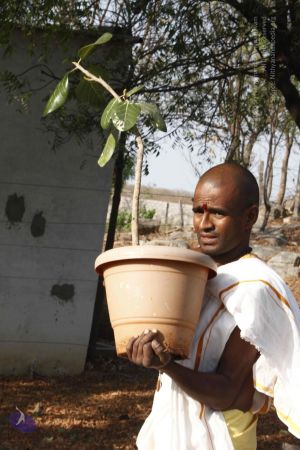 20120401 Photo 1118 1xEm-Bs4YxcBxdHWVut5TV1Bdyo1rV-cf.JPG