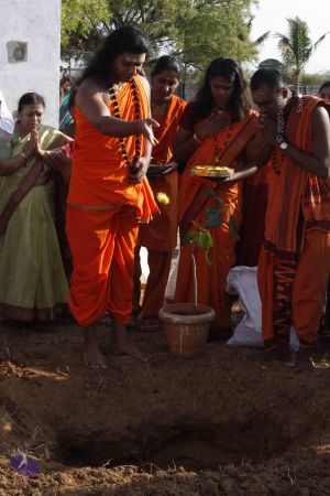 20120401 Photo 1188 10czbeC-acPb3d7zi9PHKQjNbqAz10kON.JPG