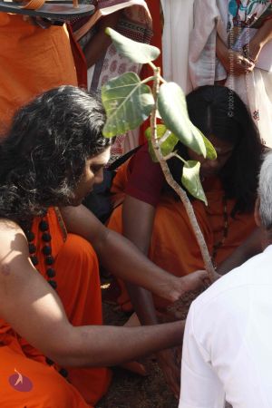 20120401 Photo 1209 165ukxkxoFb4SxqMLWjbQC8JGri82KILm.JPG