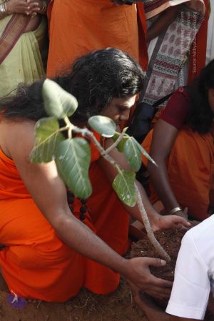 20120401 Photo 1210 1FT1jfTZ9t7p8p9XMNjlfWSZg0umMUEY5.JPG